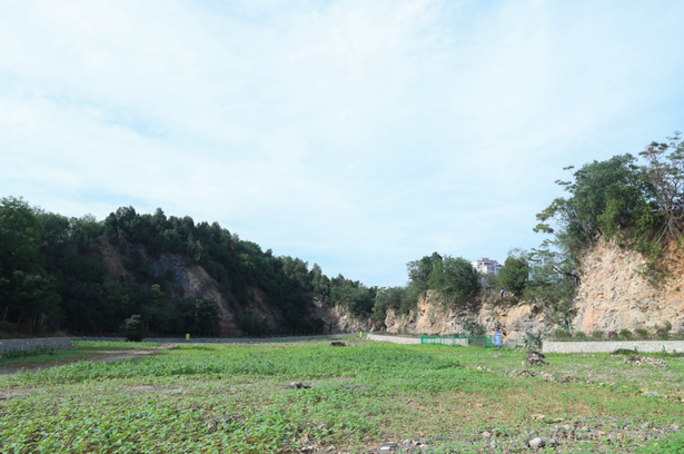 20250701縣領導現場推進“一地三用”等項目建設1.png